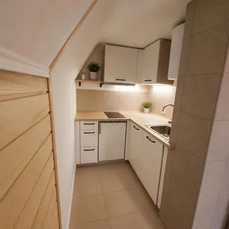 Apartment Koca Rakitna Forest With Sauna Preserje (Greater Ljubljana)