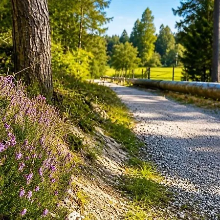 Koca Rakitna Forest With Sauna