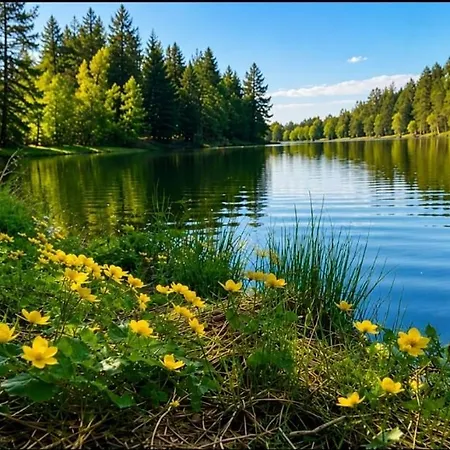 Koca Rakitna Forest With Sauna Apartment